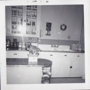 Barette_2