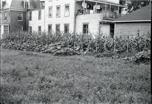 Photo du meurtre dans le cabanon BANQ Rouyn-Noranda P13S2D15P0813